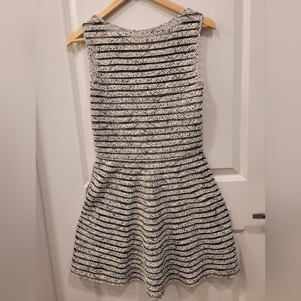 Parker Black & White Mesh Panel Fit & Flare Dress - Picture 3 of 7